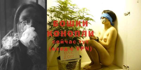 мяу мяу мука Няндома